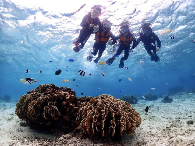 シュノーケイング、恩納村