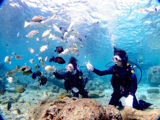 恩納村ダイビング、カラフル熱帯魚、えさやり体験