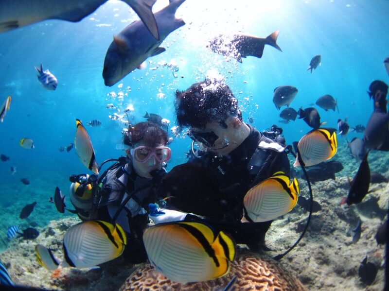 ダイビング、熱帯魚
