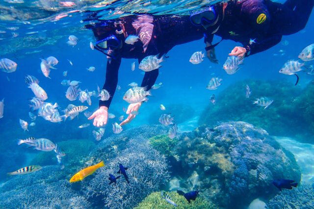 沖縄　恩納村　シュノーケリング