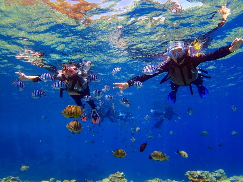 恩納村シュノーケリング、熱帯魚