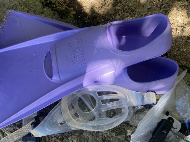 マスク・シュノーケル・フィン