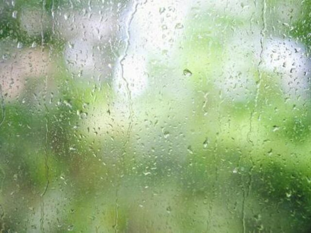 恩納村　博物館　雨