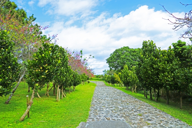 沖縄　座喜味城跡公園