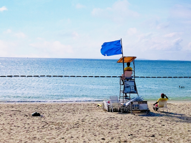 海　ライフセーバー　監視員