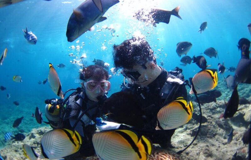 恩納村　ダイビング　熱帯魚