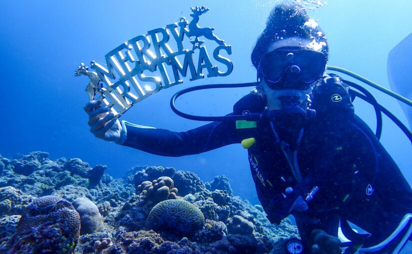 沖縄　恩納村　12月　ダイビング