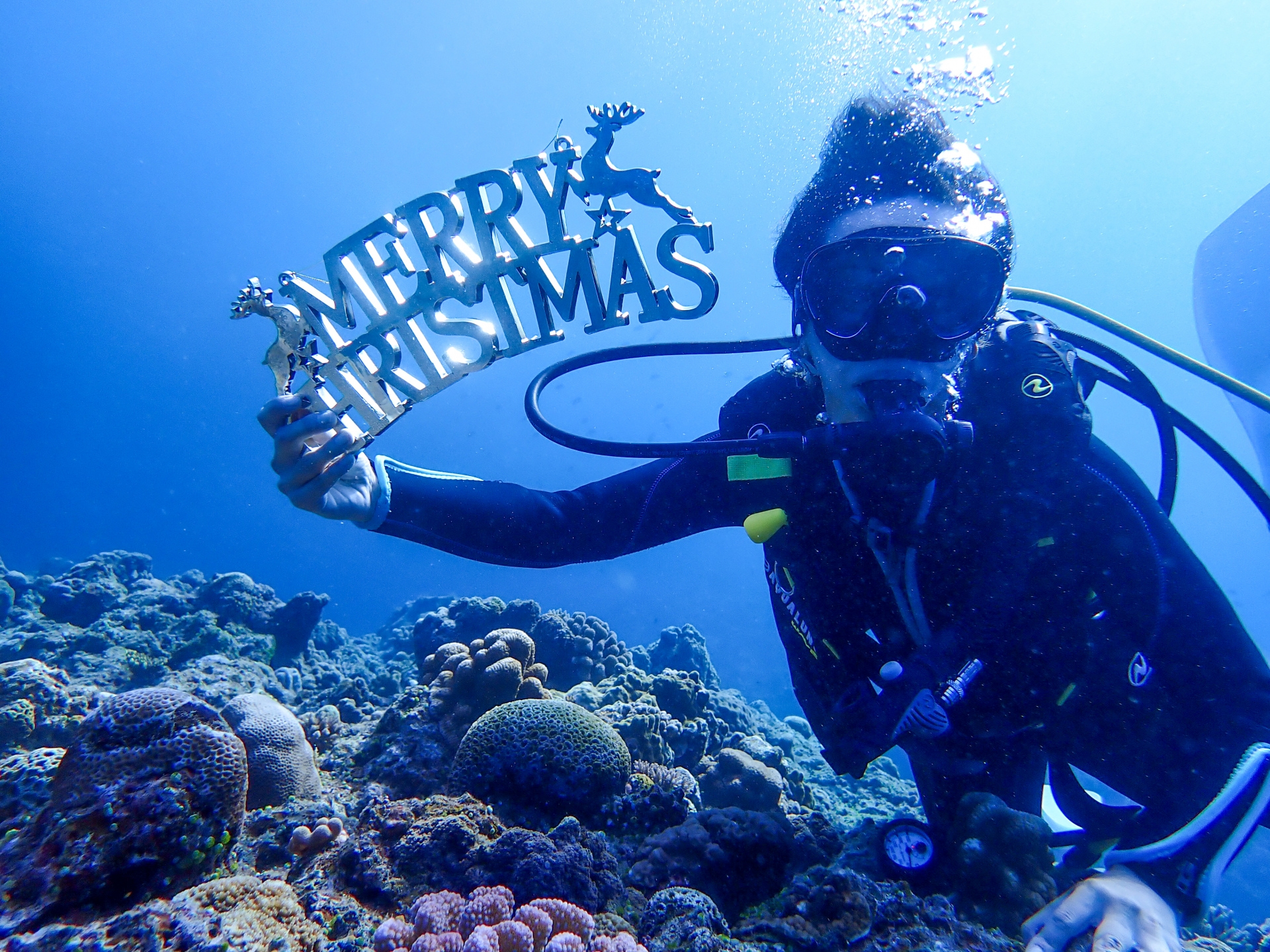 沖縄　恩納村　12月　ダイビング